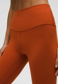 High-waisted, form-fitting leggings in a solid burnt orange color, featuring smooth, stretchy fabric and subtle seam detailing.