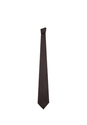 Una corbata lisa de color marrón oscuro está colocada verticalmente sobre un fondo blanco.