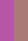 Couleur (1)