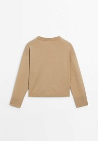 Pull en maille beige à manches longues avec col rond et poignets côtelés, vu de dos sur fond blanc.