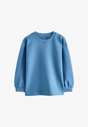 Lichtblauwe sweatshirt met lange mouwen, gemaakt van zachte stof. Voorzien van ribgebreide boorden en halslijn, met een losse pasvorm en een gestructureerde afwerking.