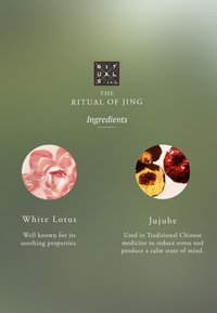 Rituals HOME PERFUME - THE RITUAL OF JING - SUBTLE FLORAL - JUJUBE & LOTUS - Raumduft - -