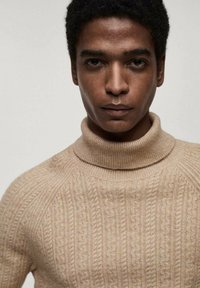 Pull en maille beige à col roulé avec un motif texturé. Présente des accents côtelés au niveau du col et des épaules, fabriqué à partir d'un matériau doux.