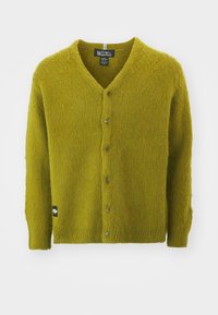 Manastash ABERDEEN KURTIGAN - Chaqueta de punto - pistachio