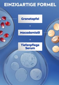 Pomegranate seeds, macadamia nuts, and serum droplets in glass petri dishes with ingredient labels on blue background.