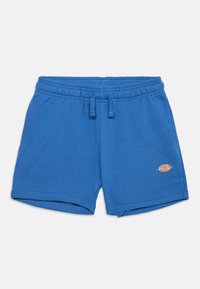 Επιλέχθηκε, delft