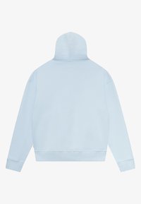 Hellblaues Hoodie mit hohem Kragen, langen Ärmeln und gerippten Bündchen. Hergestellt aus weichem Stoff mit glatter Textur und einem minimalistischen Design.