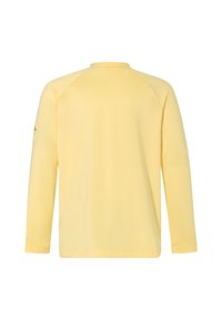 Camicia a maniche lunghe in morbido tessuto giallo chiaro. Presenta un semplice colletto rotondo e maniche raglan. Nessun motivo o elemento di design aggiuntivo.