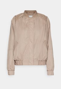 ONLMINNA OVERSIZE JACKET - Bomber-jakk - silver mink detail/feather gray