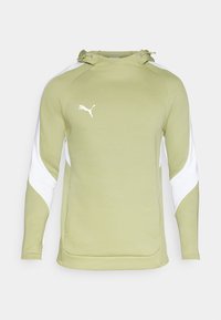 HOODY - Hoodie - calming green/silver/white
