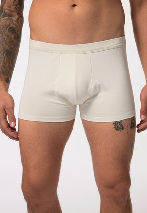 AWARE HIP IM 2ER-PACK GOTS ZERTIFIZIERTE BAUCHFIT - Trunks - camel