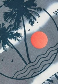 Design grafico che presenta palme e un sole circolare su uno sfondo grigio, con linee ondulate che rappresentano l'acqua sottostante.