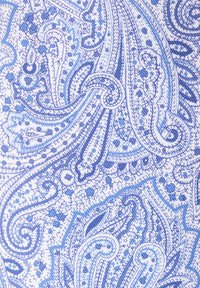 Tessuto paisley blu e bianco con motivi intricati a spirale e dettagli puntinati che creano un disegno tessile denso e strutturato.