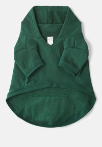 Green, long-sleeve hoodie with a V-neck and a curved hem. Soft fabric with a fleecy texture. Features a front pocket and ribbed cuffs.
