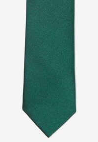 Next SET - Einstecktuch - dark green