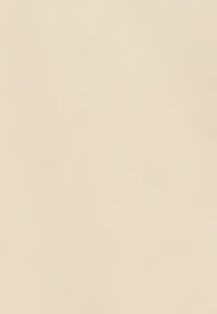 Superficie beige chiaro con trama e leggere variazioni di tonalità, finitura morbida opaca, che crea uno sfondo liscio e neutro.