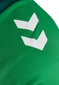 Grön träningsskjorta med en slät textur. Har två vita chevronränder på vänster sida. Tyget verkar vara lätt och andningsbart.