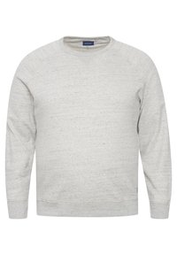 Lichtgrijze lange mouw crewneck sweatshirt met een subtiel gemêleerd patroon en geribbelde manchetten en zoom.