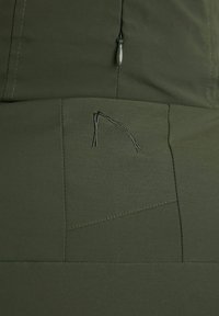 CHASIN' EXPLORER TECH - Žieminė striukė - dark green
