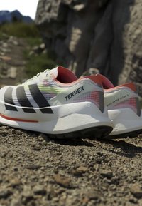 Ein Paar weiße und schwarze Adidas Terrex Trailrunning-Schuhe liegen auf felsigem Boden mit verschwommenem natürlichem Hintergrund.