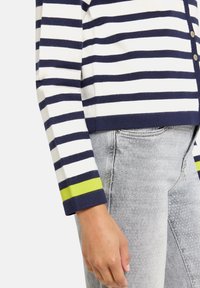 Granatowo-biały sweter w paski z zielonym akcentem na mankiecie. Miękka tkanina, zapięcie na guziki, noszony z jasnoszarymi spodniami dżinsowymi o fakturze.