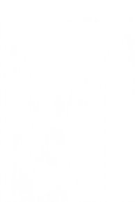 Vază ceramică albă cu finisaj neted și lucios și o formă subțire, alungită. Prezintă modele florale subtile, în relief.