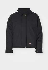 Dickies SEASONAL JACKET - Viegla jaka - black