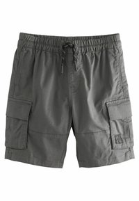 Shorts cargo gris avec une taille élastique, un cordon de serrage et deux poches latérales. Fabriqués en tissu léger, présentant une texture lisse.