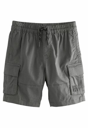 Pantaloni scurți de tip cargo gri, cu un tiv elastic, șnur și două buzunare laterale. Fabricat dintr-un material ușor, cu o textură netedă.