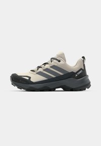 SKYCHASER AX5 GTX - Zapatillas de senderismo - alumina/grey five/carbon