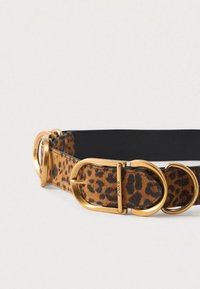 Barna leopárdmintás öv arany fém csattal és gyűrűkkel, fekete belső béléssel, sima világos háttér előtt.