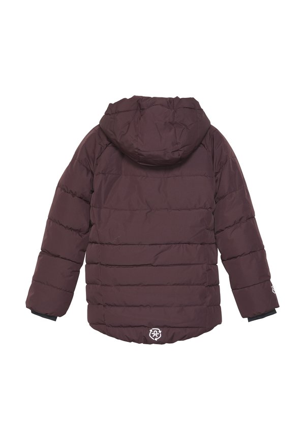 COJacket - Winter jacket - fudge2