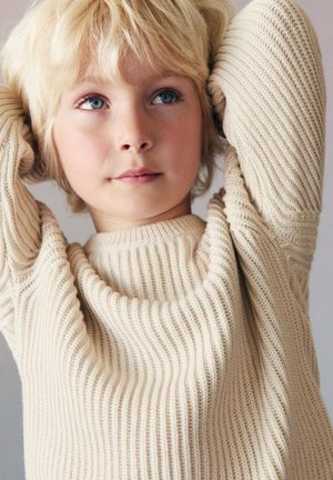 Pull en tricot beige avec une texture côtelée, encolure ronde et manches longues ; tissu doux qui tombe légèrement sur les épaules.
