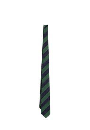 Scalpers, SCALPERS SCCLASSIC STRIPES TIE - Corbata - greenstripes