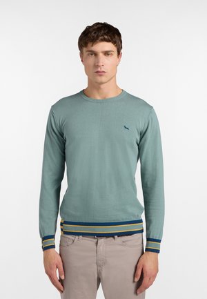 Mężczyzna ubrany w jasnoturkusowy sweter z niebiesko-żółtymi paskowanymi mankietami i krawędzią, stojący na tle jednolitej białej ściany.