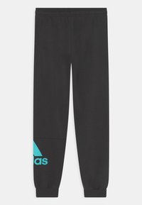adidas Performance UNISEX - Jogginghose - black/semi mint rush