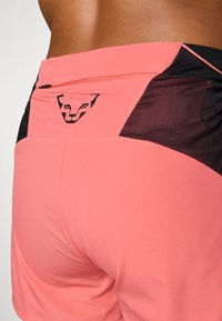 Dynafit ALPINE PRO SHORTS - Spordišortsid - cabana