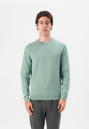 Green long-sleeve knit sweater with a round neckline and ribbed hem. Worn with gray trousers, featuring a soft, smooth texture.