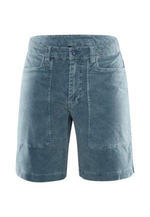 Lichtblauwe katoenen shorts met een gladde textuur, voorzien van twee voorzakken en een rits, ontworpen met een relaxte pasvorm.