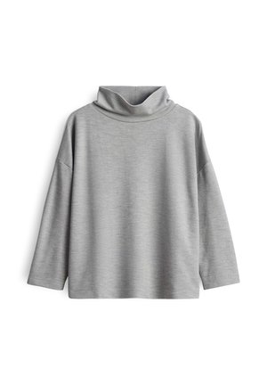 Pull à col roulé gris, en tissu doux, avec une coupe décontractée, des manches longues et un col haut, sans motifs ni accents visibles.