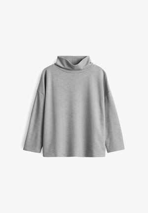 Grijze coltrui, gemaakt van zachte stof, heeft een ontspannen pasvorm, lange mouwen en een hoge kraag, zonder zichtbare patronen of accentueringen.