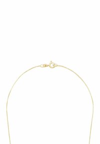 Guldtonad halsband med en tunn, rund kedja, som har ett litet hummerlås för stängning. Enkel design, lätt och med en slät yta.