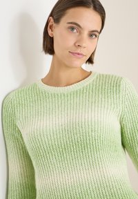 Pull tricoté vert clair avec un design côtelé texturé, doté d'un col rond couleur crème et d'un effet dégradé.