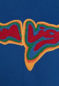 Der blaue Stoff weist ein farbenfrohes, mehrschichtiges gesticktes Design mit roten, grünen, gelben und blauen Elementen in einem wellenförmigen Muster auf.