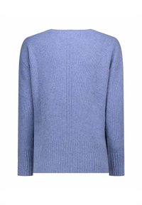 Maglione a maniche lunghe di colore azzurro chiaro con polsini e orlo a coste, mostrato di spalle su sfondo bianco.