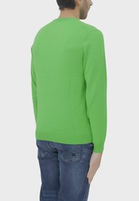 Maglione verde a maniche lunghe con scollo rotondo e polsini e orlo a costine, realizzato in un tessuto leggero e liscio, abbinato a jeans blu.