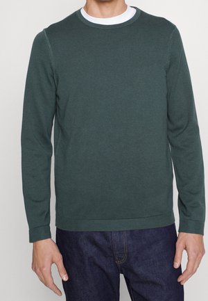 Mand iført en mørkegrøn langærmet sweater over en hvid t-shirt med rund hals og mørkeblå jeans, stående foran en ensartet lys baggrund.