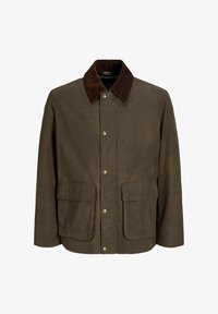 Vybrané, forest night