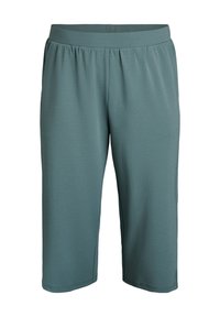 FLASH - HOCHTAILLIERTE KNICKERBOCKER - Shorts - balsam green