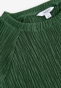 Next REGULAR FIT - RAGLAN SHORT SLEEVE TEXTURED  - Paprasti marškinėliai - green